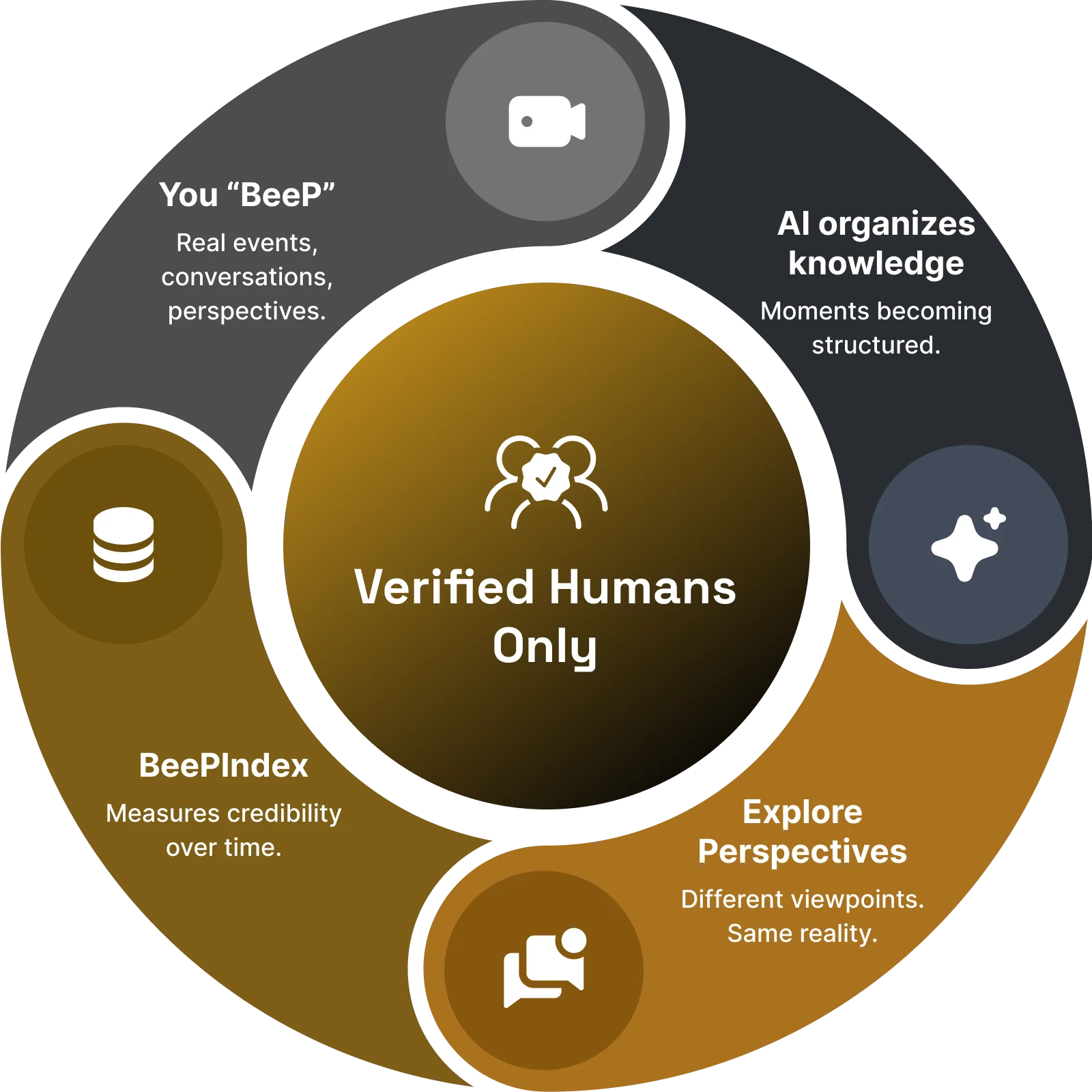 BeePapedia workflow from real moments to collective intelligence
